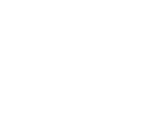 Image title